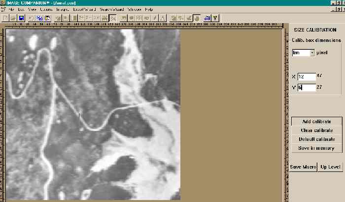 Bird View Image